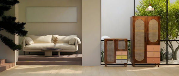 Modern Living Room & Wardrobe Design with Wooden & Cane Furniture