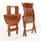 TRAVELER FOLDING WOODEN TABLE & CHAIR SET