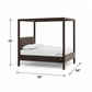 MODERN UPHOLSTERED CANOPY BED