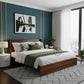  CONTEMPORARY WOODEN QUEEN SIZE BED WITH INBUILT STORAGE SHELF HEADBOARD