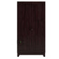 MODERN DARK WOOD 2-DOOR WARDROBE CABINET