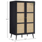 MODERN BLACK 2-DOOR WARDROBE WITH RATTAN CANE PANELS